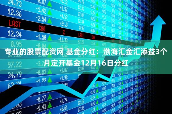 专业的股票配资网 基金分红：渤海汇金汇添益3个月定开基金12月16日分红